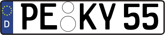 PE-KY55
