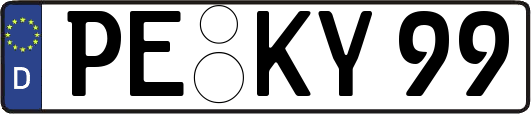 PE-KY99