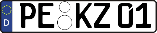 PE-KZ01