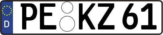 PE-KZ61