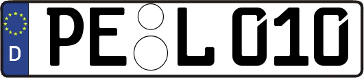 PE-L010