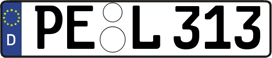 PE-L313