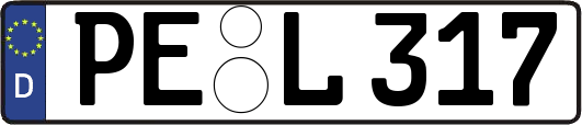 PE-L317