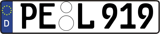PE-L919