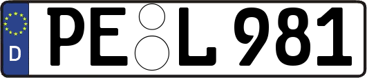 PE-L981