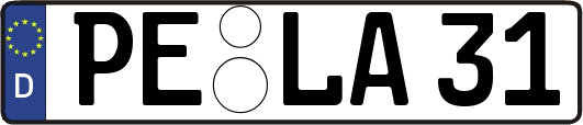 PE-LA31