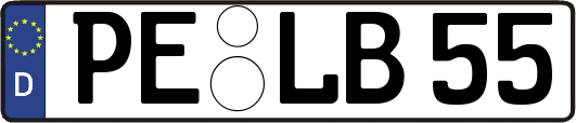 PE-LB55