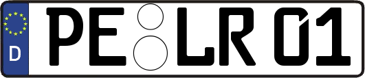 PE-LR01