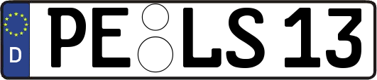 PE-LS13
