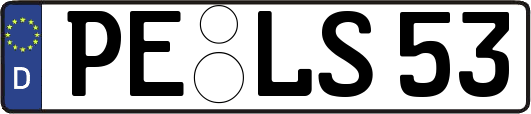 PE-LS53