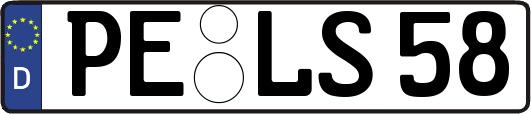 PE-LS58