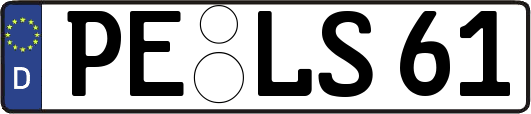 PE-LS61