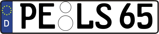 PE-LS65