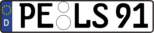 PE-LS91