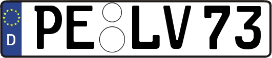 PE-LV73
