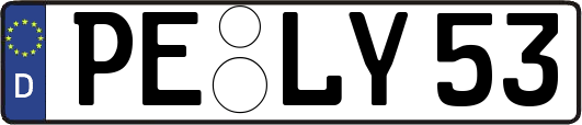 PE-LY53