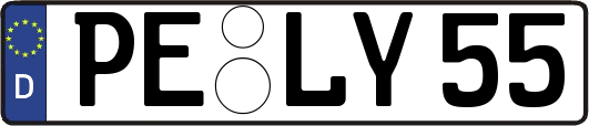 PE-LY55