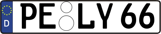 PE-LY66