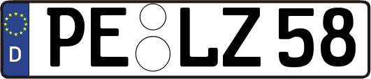 PE-LZ58