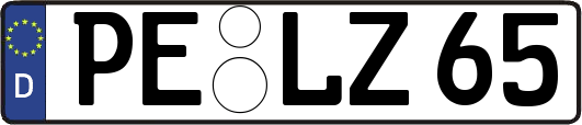 PE-LZ65