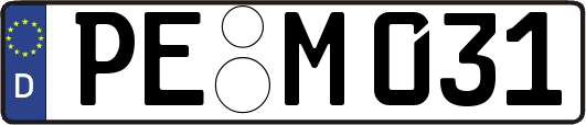 PE-M031
