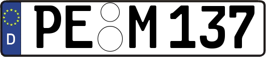PE-M137