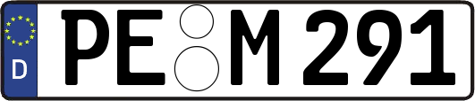 PE-M291