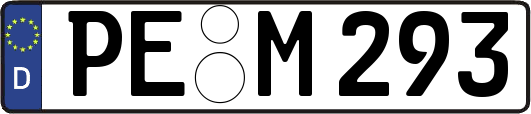 PE-M293