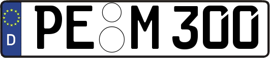 PE-M300