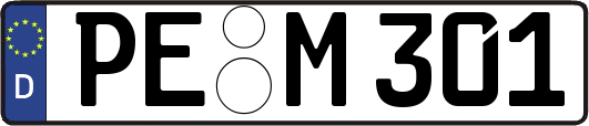 PE-M301