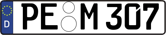 PE-M307