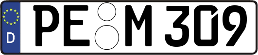 PE-M309