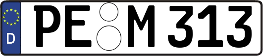 PE-M313