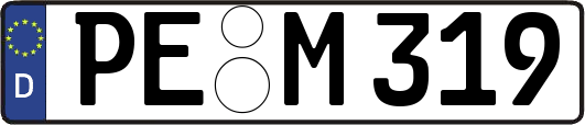 PE-M319