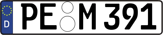 PE-M391