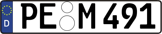 PE-M491