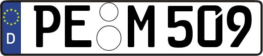 PE-M509