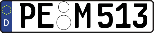 PE-M513