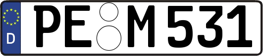 PE-M531
