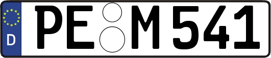 PE-M541