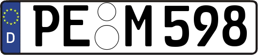 PE-M598