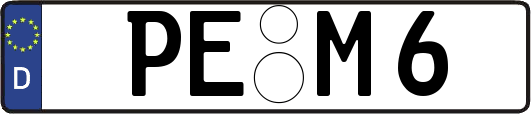 PE-M6
