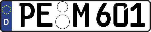 PE-M601