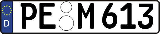 PE-M613