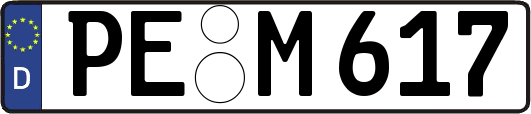 PE-M617