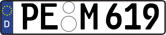 PE-M619