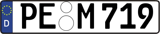 PE-M719