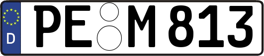 PE-M813