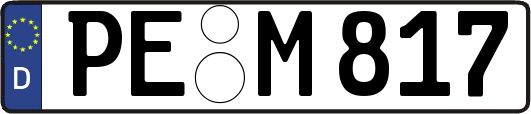PE-M817