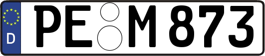 PE-M873